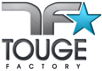 TF LOGO 2008